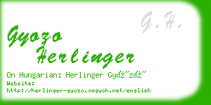 gyozo herlinger business card